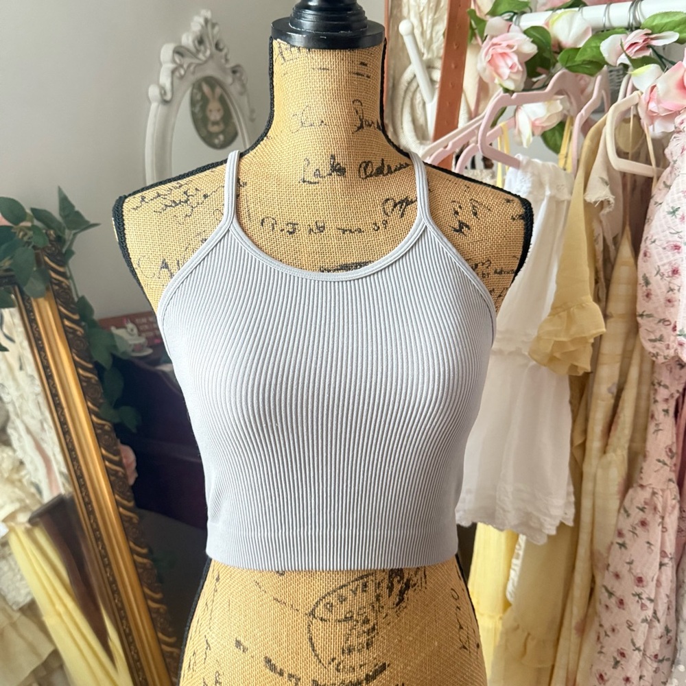 Three Bird Nest Dove Gray Ribbed Crop Top